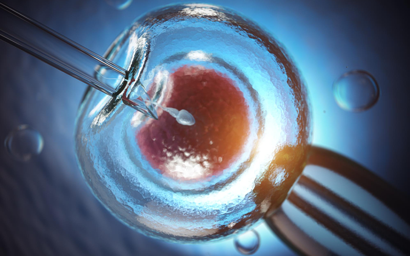 Couples Planning Single Embryo Transfer